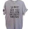 Are You Kitten Me Right Meow T Shirt Size S,M,L,XL,2XL,3XL