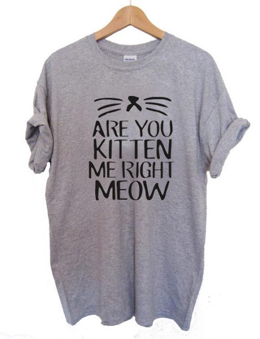 Are You Kitten Me Right Meow T Shirt Size S,M,L,XL,2XL,3XL