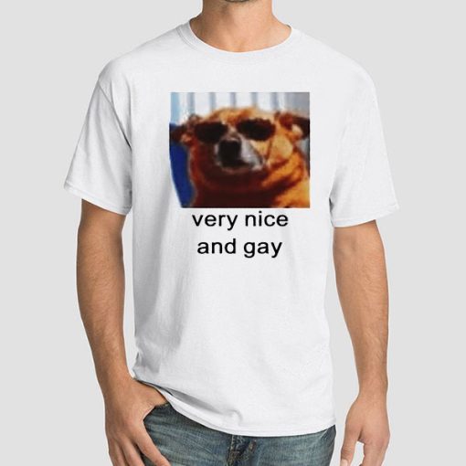 The Dog Very Nice and Gay Shirt